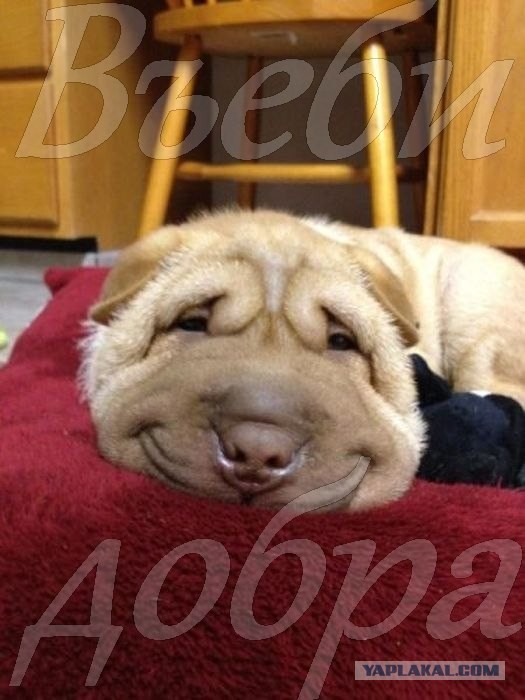 Ключики нужны?