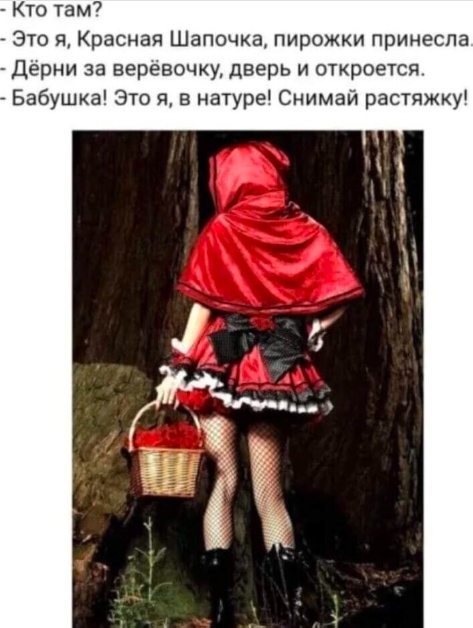 Весёлый полтишок 23.01.25