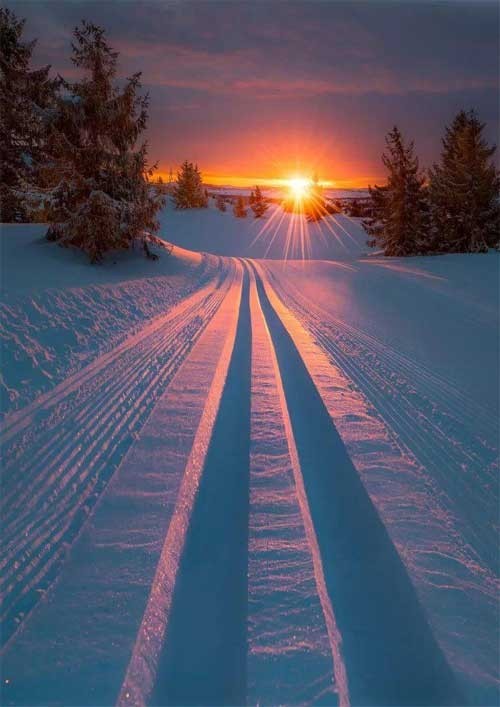 Прикольные и просто красивые картинки 28.01.2025