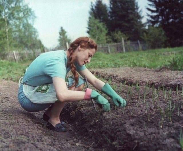 Back in USSR (06.02)
