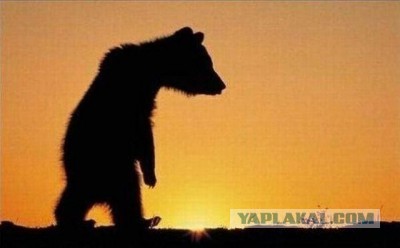 Соседка.