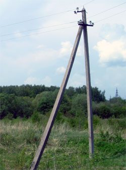 Любопытная баба зашла в кусты и доколебалась