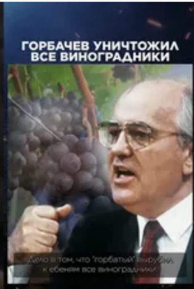 Губернатор Вологодской области лично уничтожил бульдозером частный виноградник