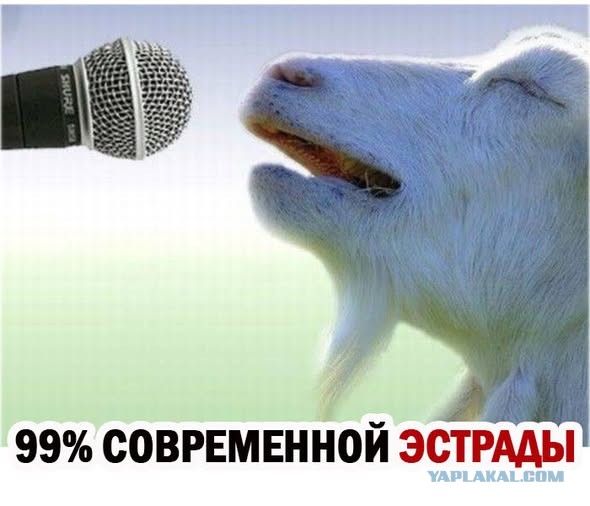 Прикольные и просто красивые картинки 12.12.2025