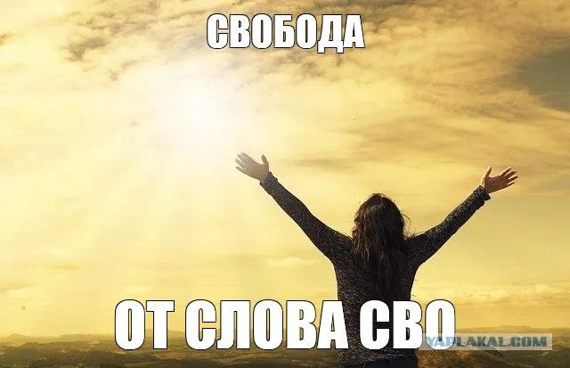 Авторов сатирического проекта «депутат Наливкин» приговорили к шести годам лишения свободы условно.
