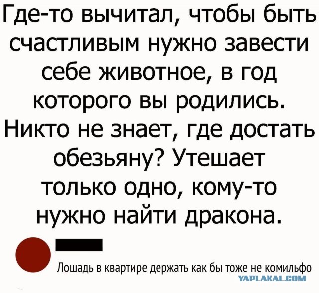 Так себе картинки 29.12.25