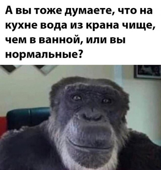 Веселые картинки в понедельник (16.03)
