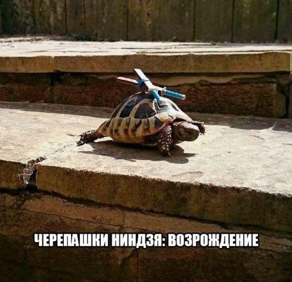 Понедельника картинки