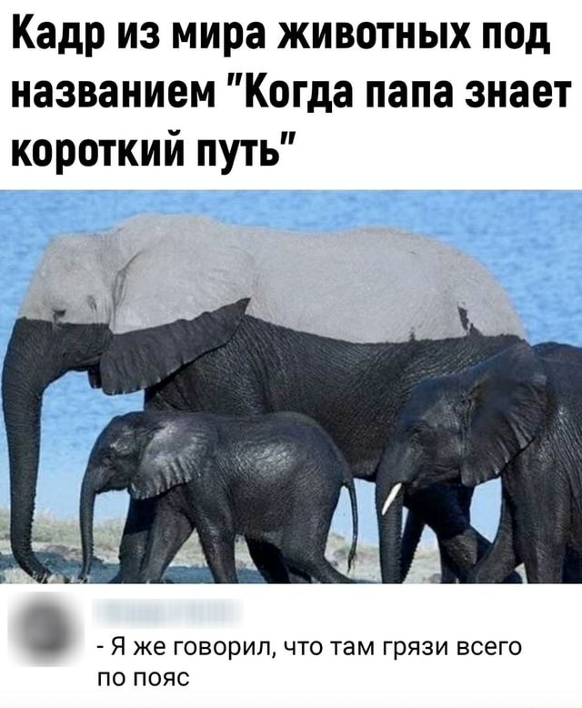 Давайте есть пчел. Можно, а зачем?