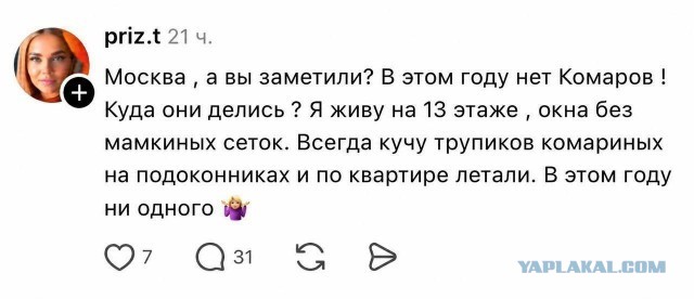 Картинки для настроения