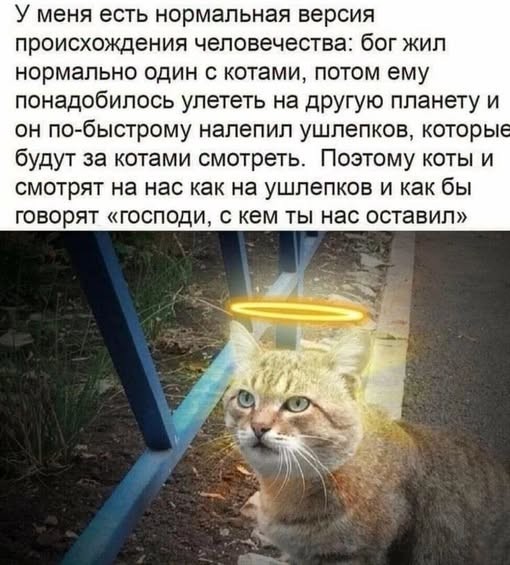 Изображения для сокращения лицевой мускулатуры