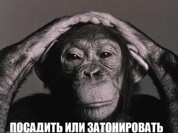 На дороге было замечено это чудо...