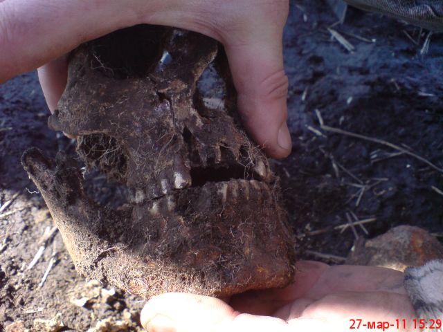 Оржицкая общественная организация Мемориал