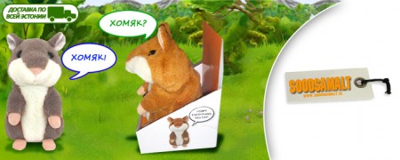 Все, выборы закончились!