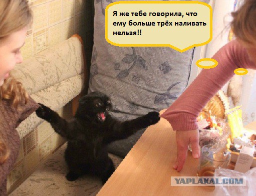 Стоять бояться!