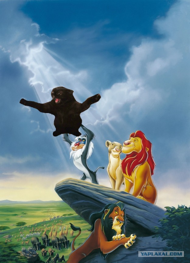 Стоять бояться!