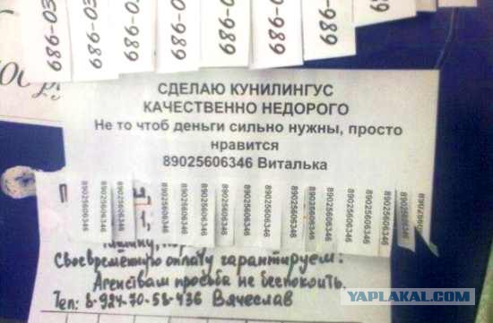 Картинки, объявления