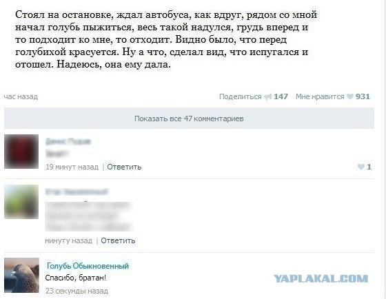 Смешные комментарии из социальных сетей (апрель)
