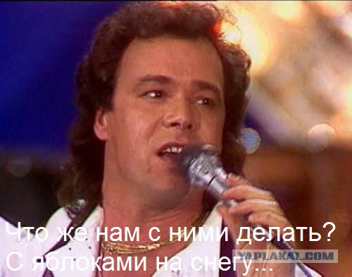 Польский политик:Не с Путиным говорить о приличиях