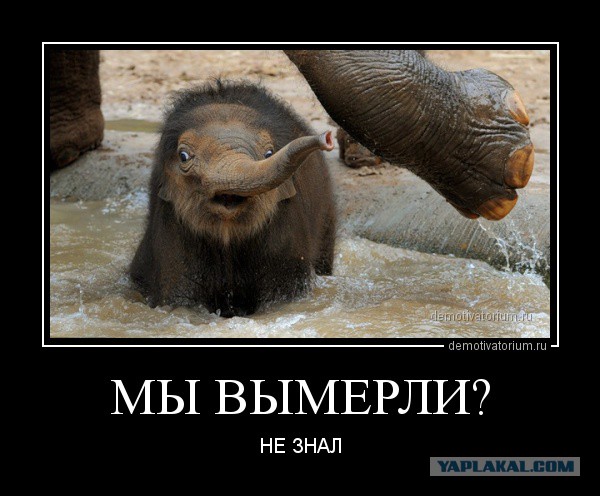 Пост ради Юки.