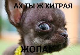 Девушка отпустила своего парня одного на Ибицу