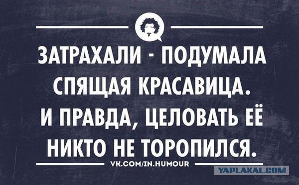 Подборка веселых картинок