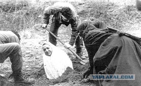 Получила по заслугам