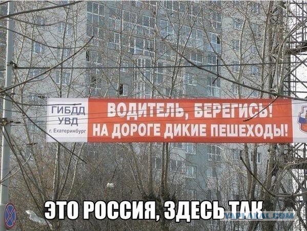Комментарии из соцсетей, картинки