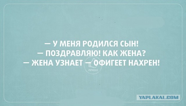 Веселые картинки