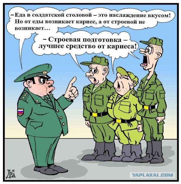 Русский понимают все