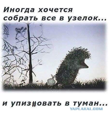 Перемирие кончилось, едва начавшись.