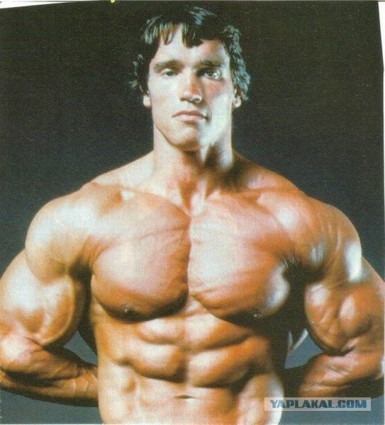 Старина Арни