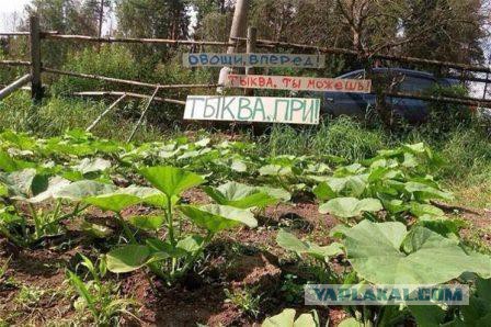 Пятничная подборка