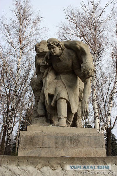 Медики в годы Великой Отечественной Войны