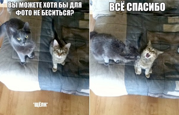 Улыбнёмся?:)
