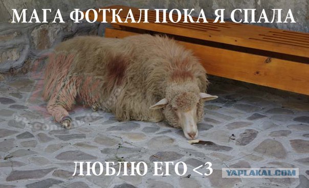 Cфотал пока спала