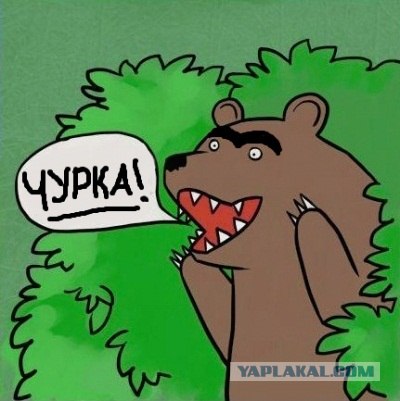 Кафе в Махачкале.