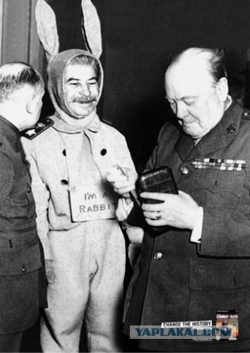 А-я-я-я-я-яй! Какой кошмар!