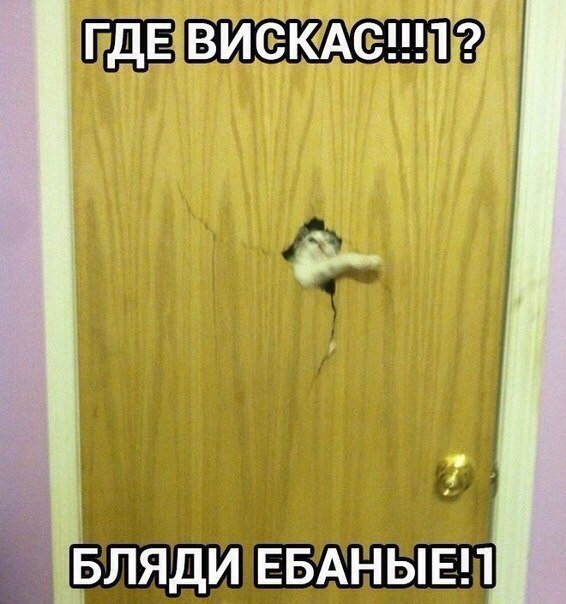 Картинки и демотиваторы