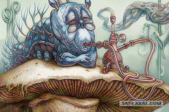 Удивительный мир грибов