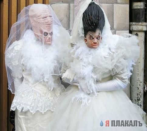 Свадьба, женихи и невесты