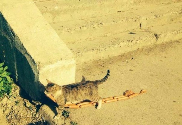 Картинки на пятницу