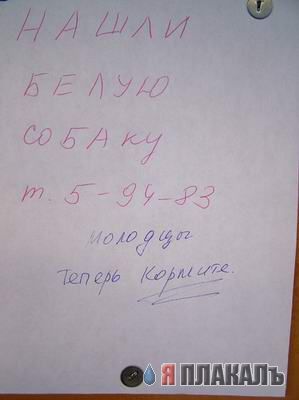 ОБЪЯВЛЕНИЯ. На стенах, в газетах, афиши.