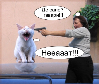 Фотожаба: Тетка и пистолет