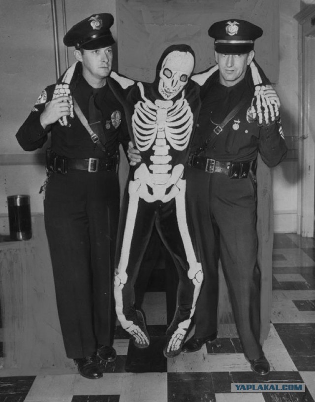 Подборка интересных и веселых картинок