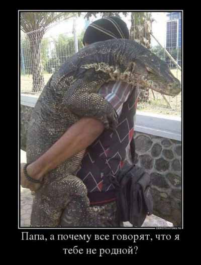 Иногда встречи с животными бывают очень неожиданными