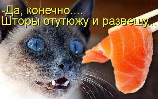 Мохнатые беспредельщики