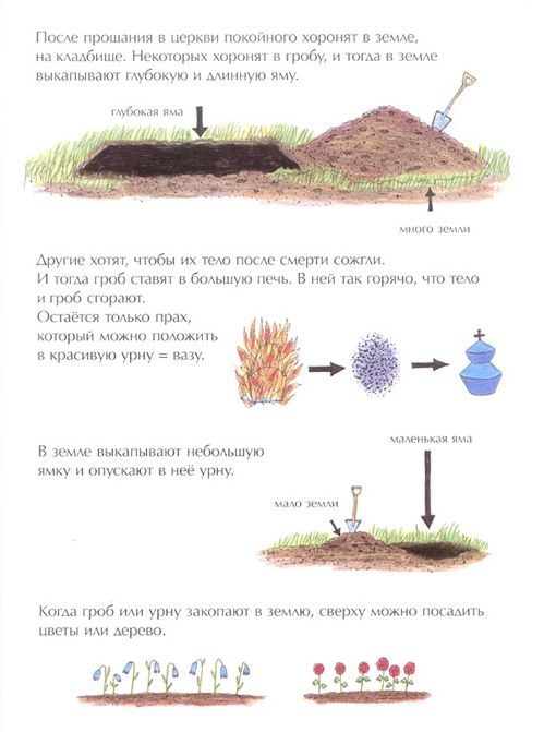 КНИГИ. Прикольные книжки. Библиотека