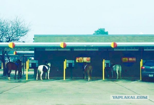 Фотки всякие разные...