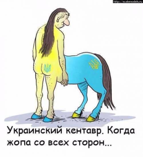 Евровидение 2017 – у Киева нет ни денег, ни времени, ни сил, ни желания